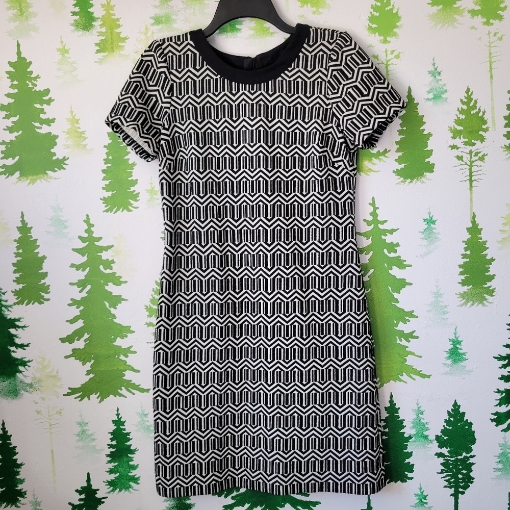 Banana Republic Geometric Dress.
